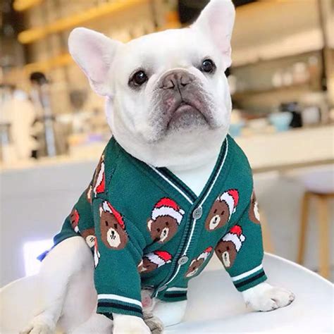 best sweaters for french bulldogs.